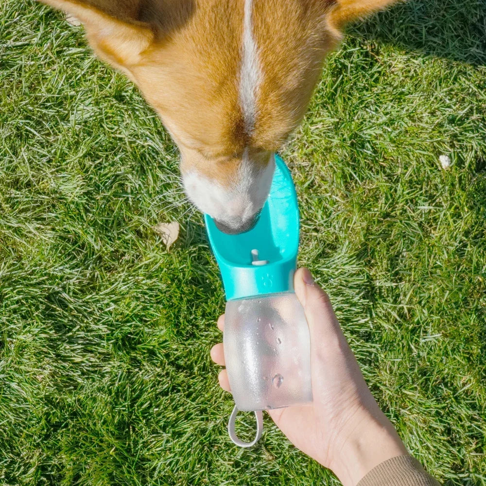 Garrafa de água portátil para cães de estimação e animais em geral.