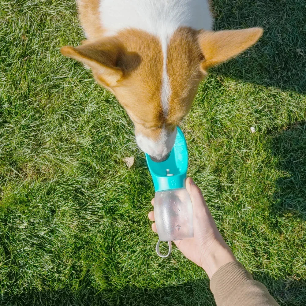Garrafa de água portátil para cães de estimação e animais em geral.