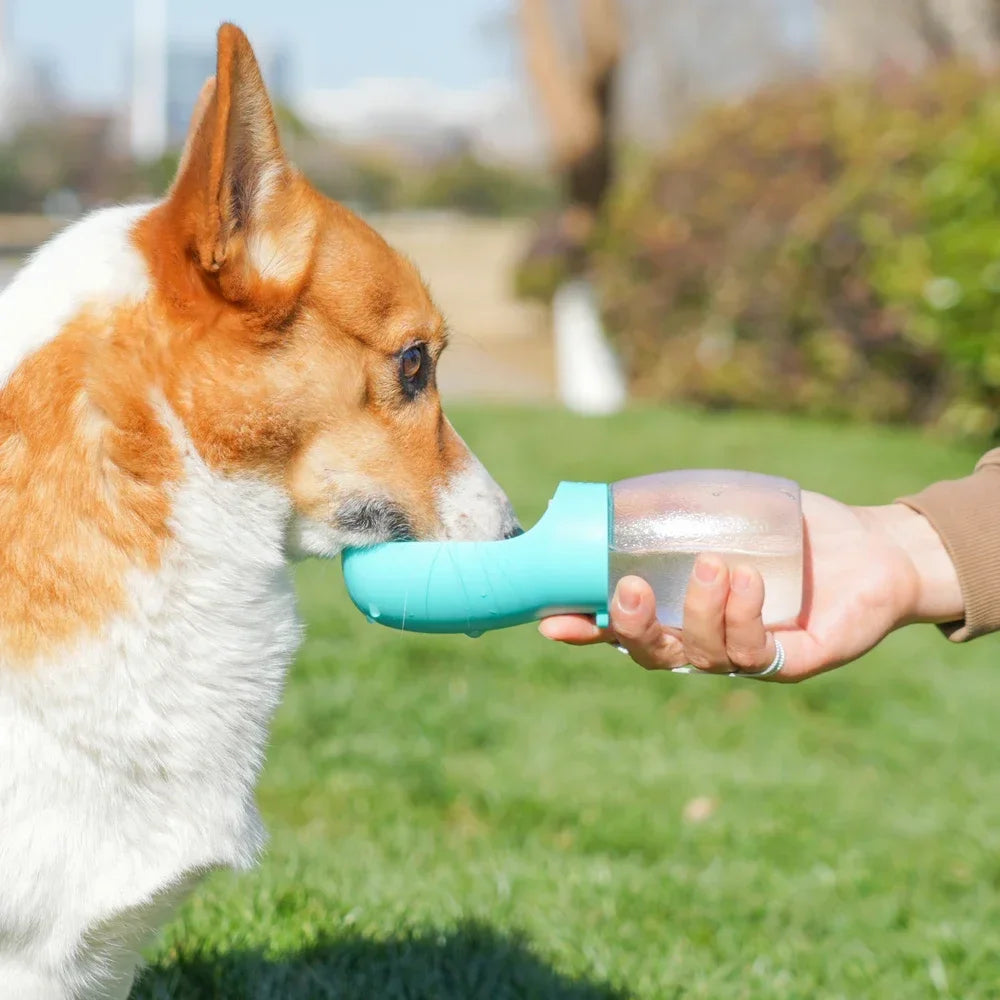 Garrafa de água portátil para cães de estimação e animais em geral.